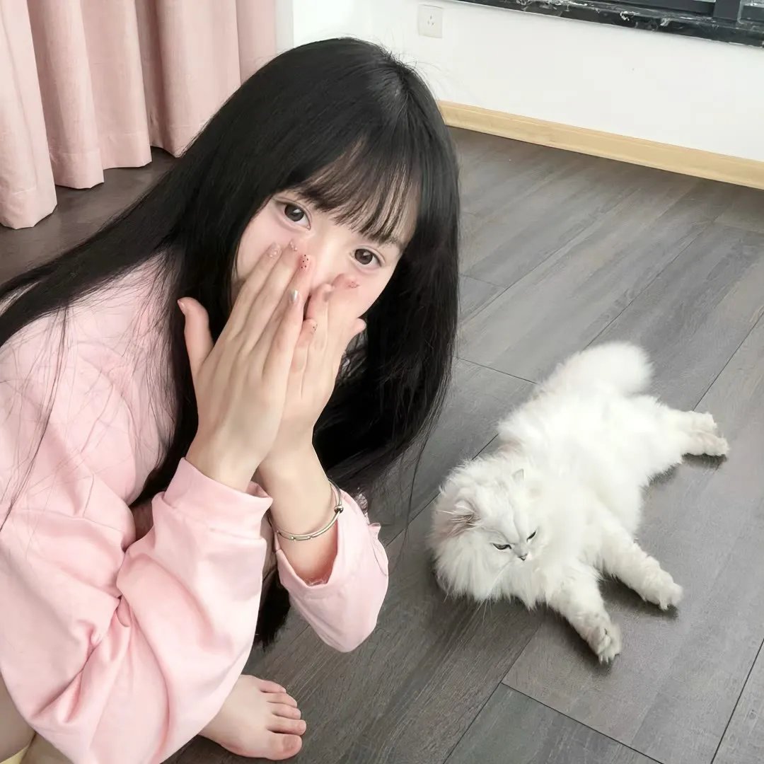杰和沉默鲍伯的反击
